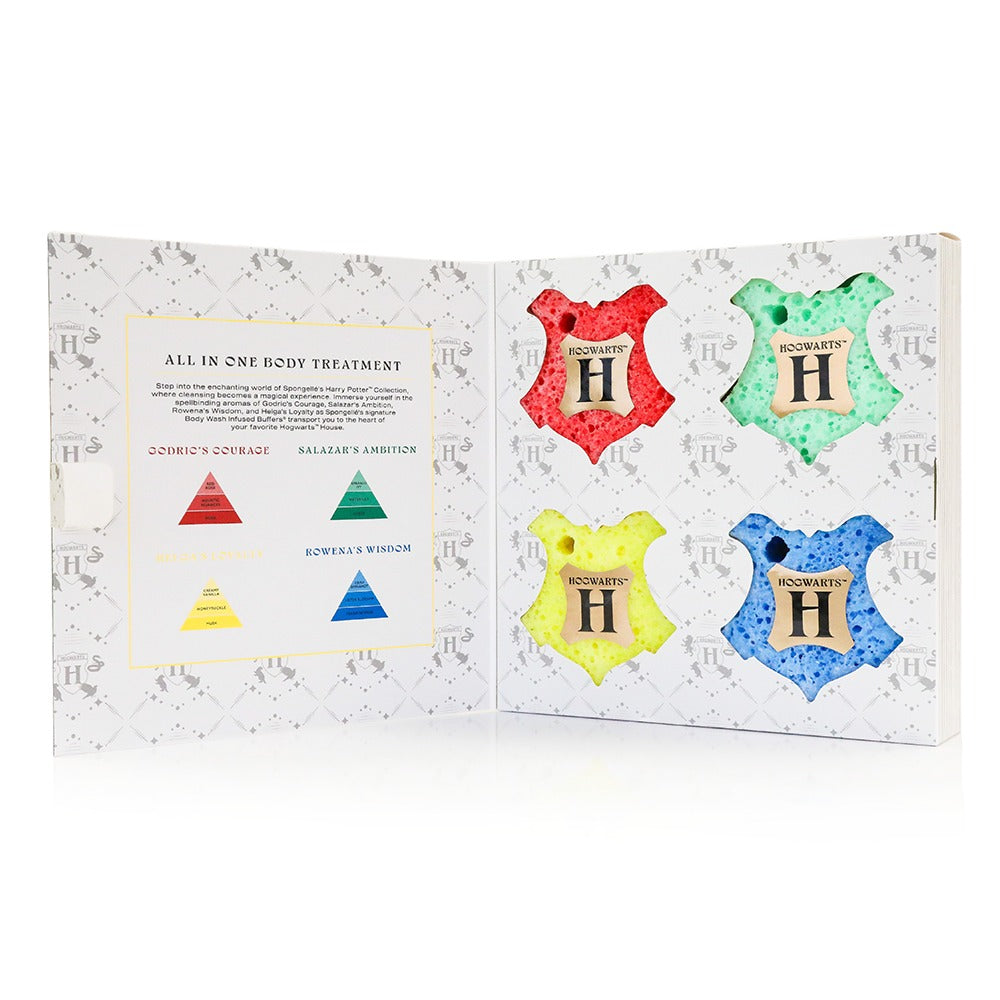 HogwartsTM Gift Set | Harry PotterTM Collection