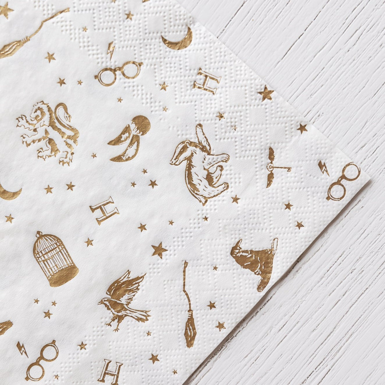 Harry Potter X Bonjour Fete House Pride Large Party Napkins