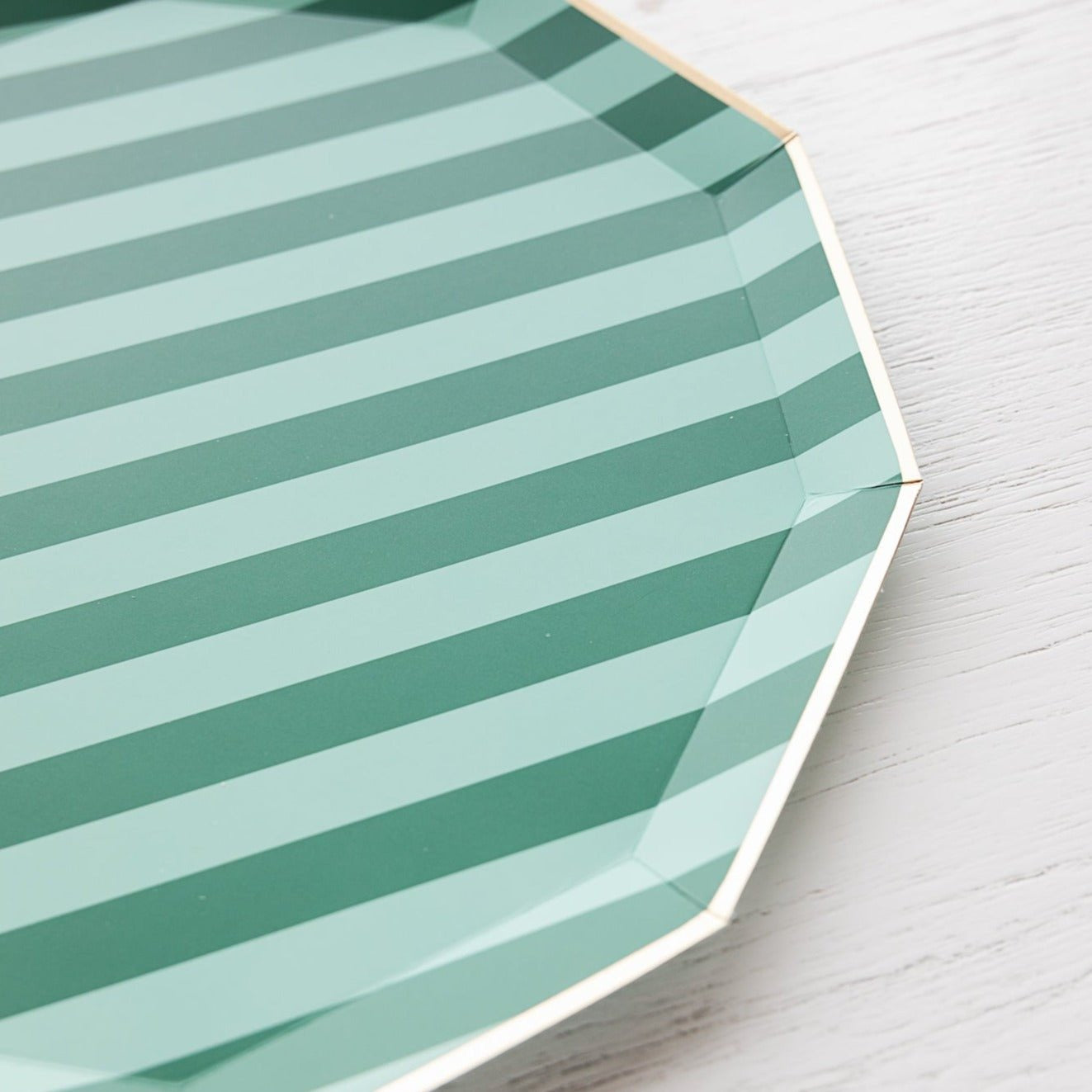 Harry Potter X Bonjour Fete House Pride Large Plates
