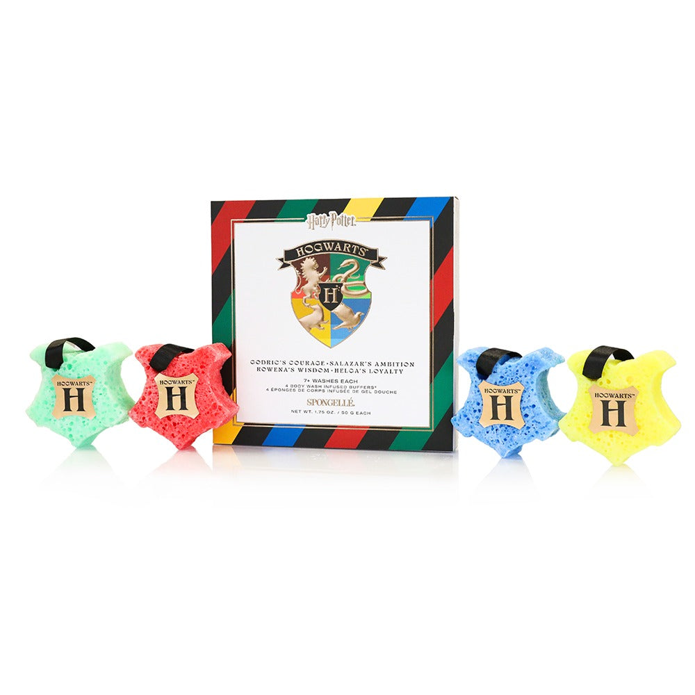 HogwartsTM Gift Set | Harry PotterTM Collection