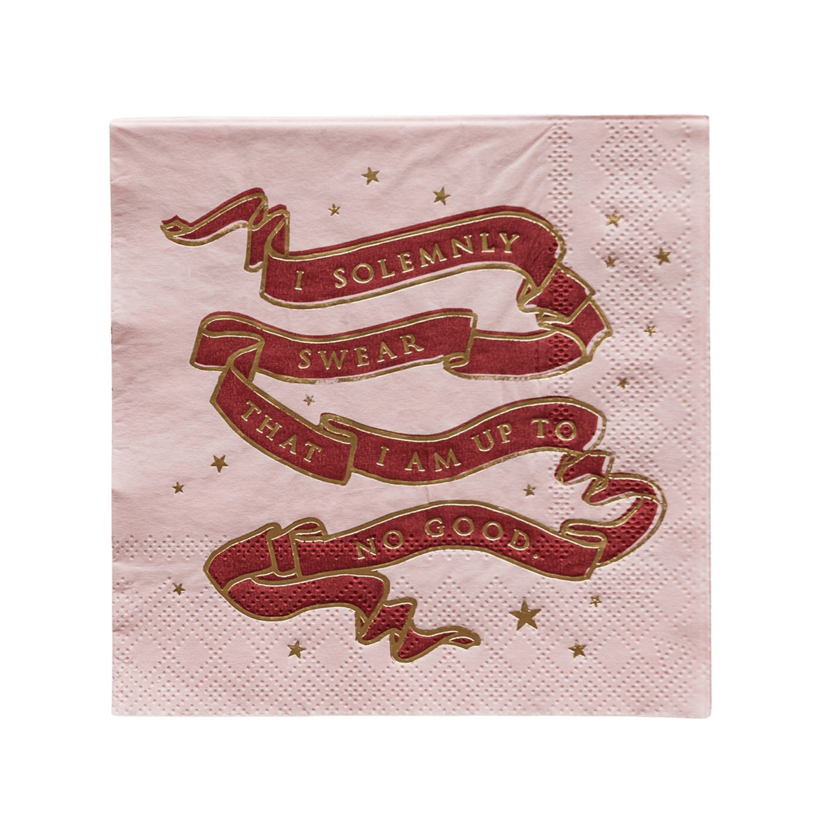 Harry Potter X Bonjour Fete House Pride Small Party Napkins