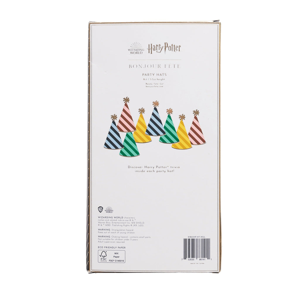 Harry Potter X Bonjour Fete House Pride Party Hats