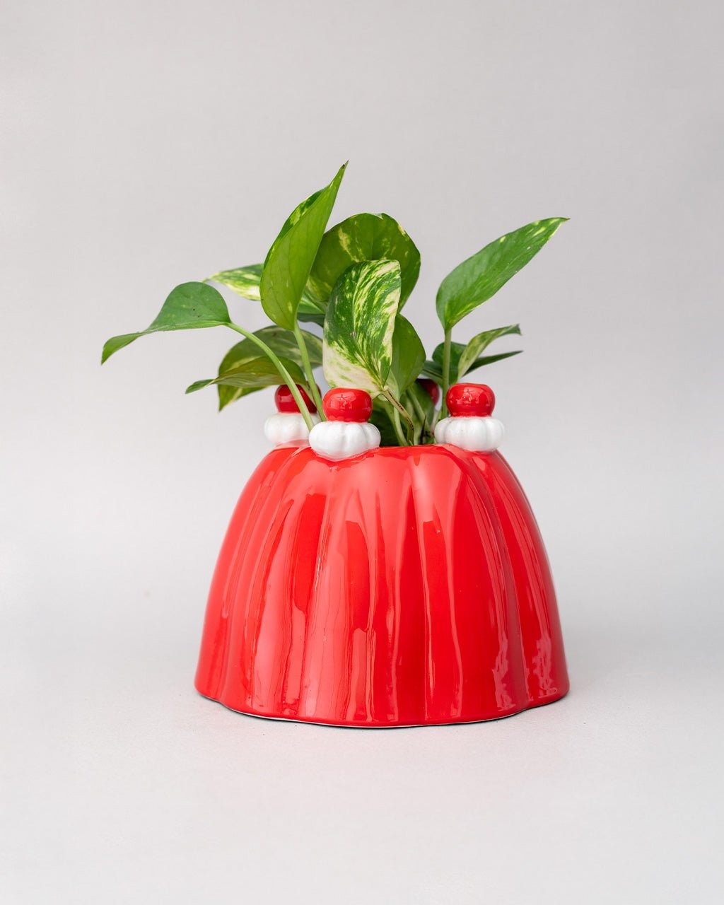 Jelly Dessert Vase