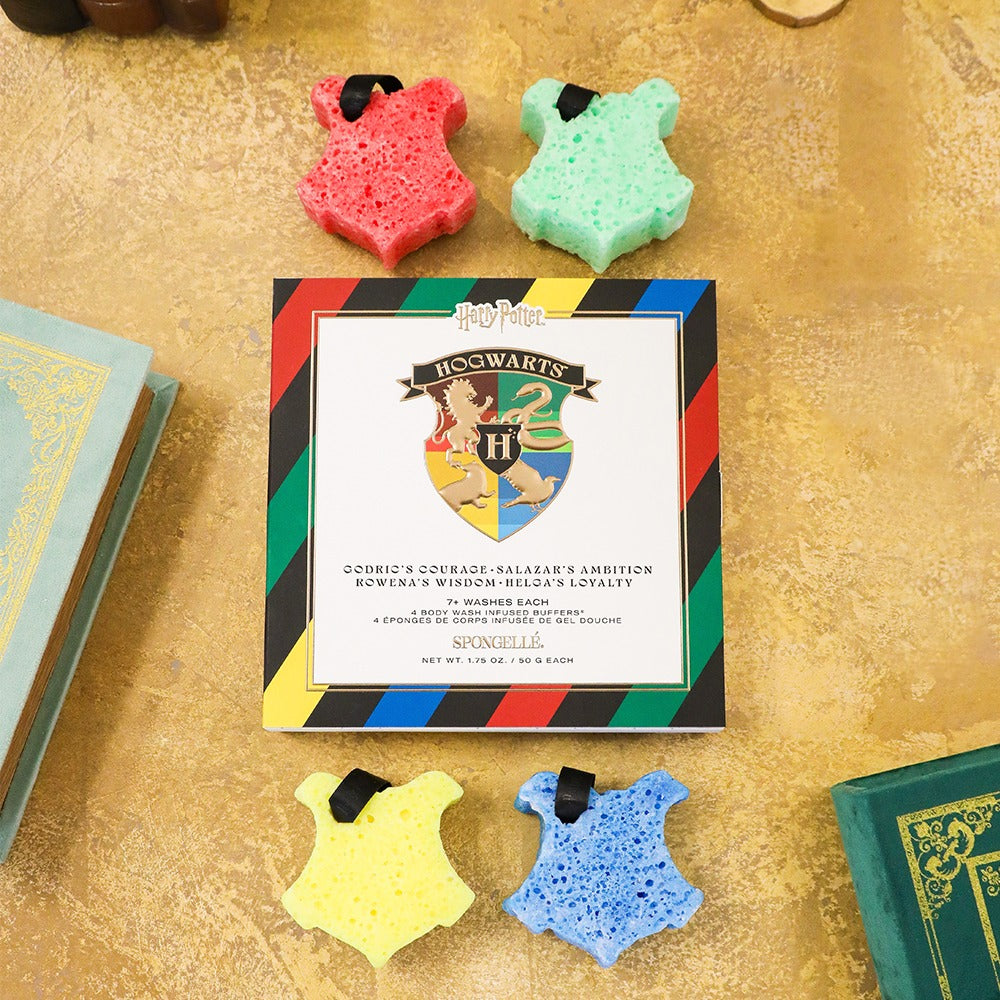 HogwartsTM Gift Set | Harry PotterTM Collection