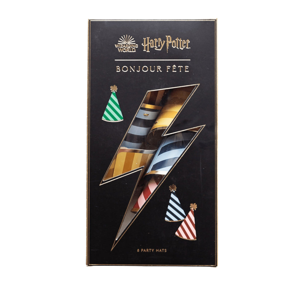 Harry Potter X Bonjour Fete House Pride Party Hats