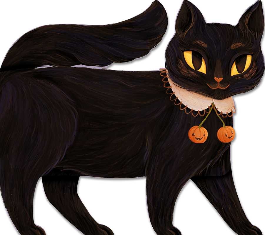 One Black Cat Halloween Board Book