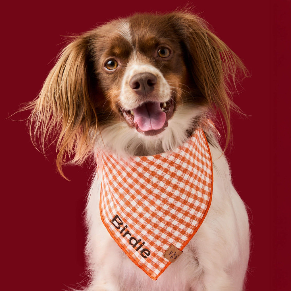 Cider Gingham Dog Bandana