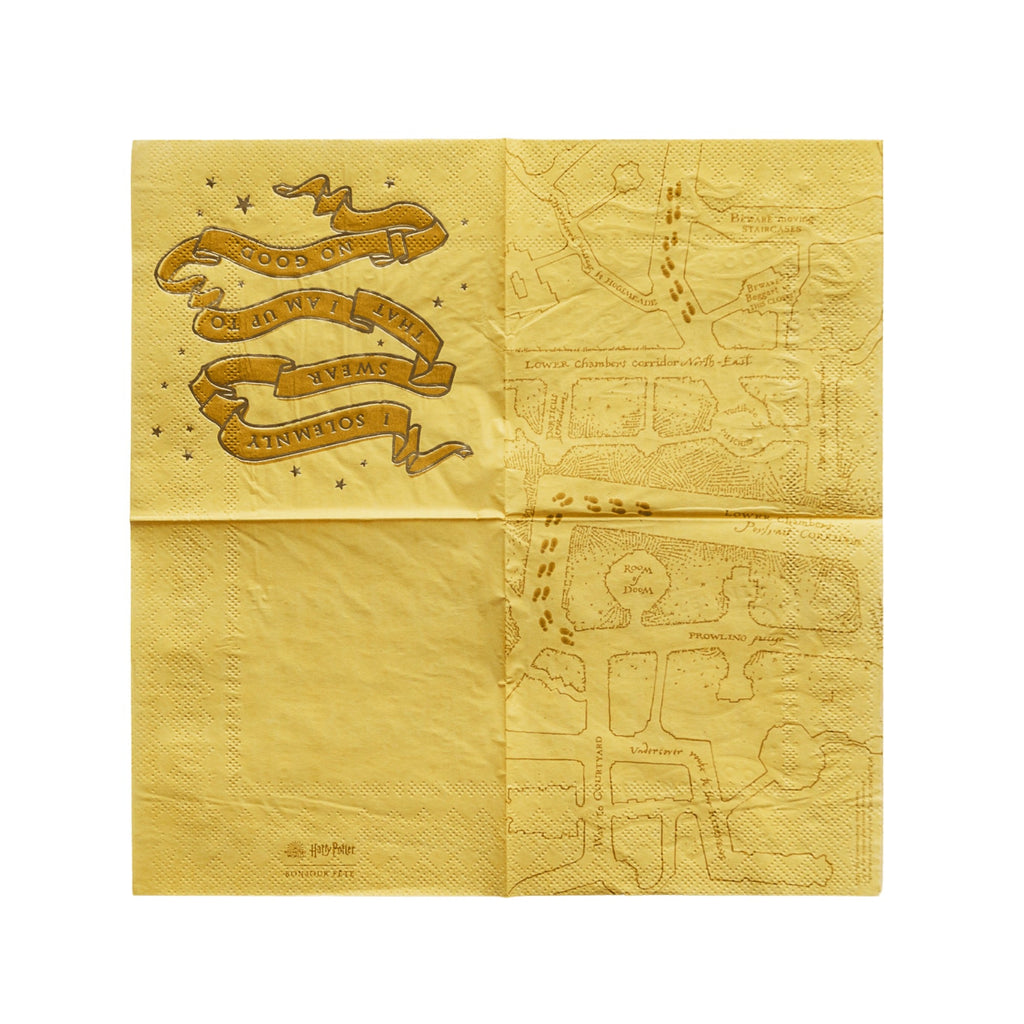 Harry Potter X Bonjour Fete House Pride Small Party Napkins