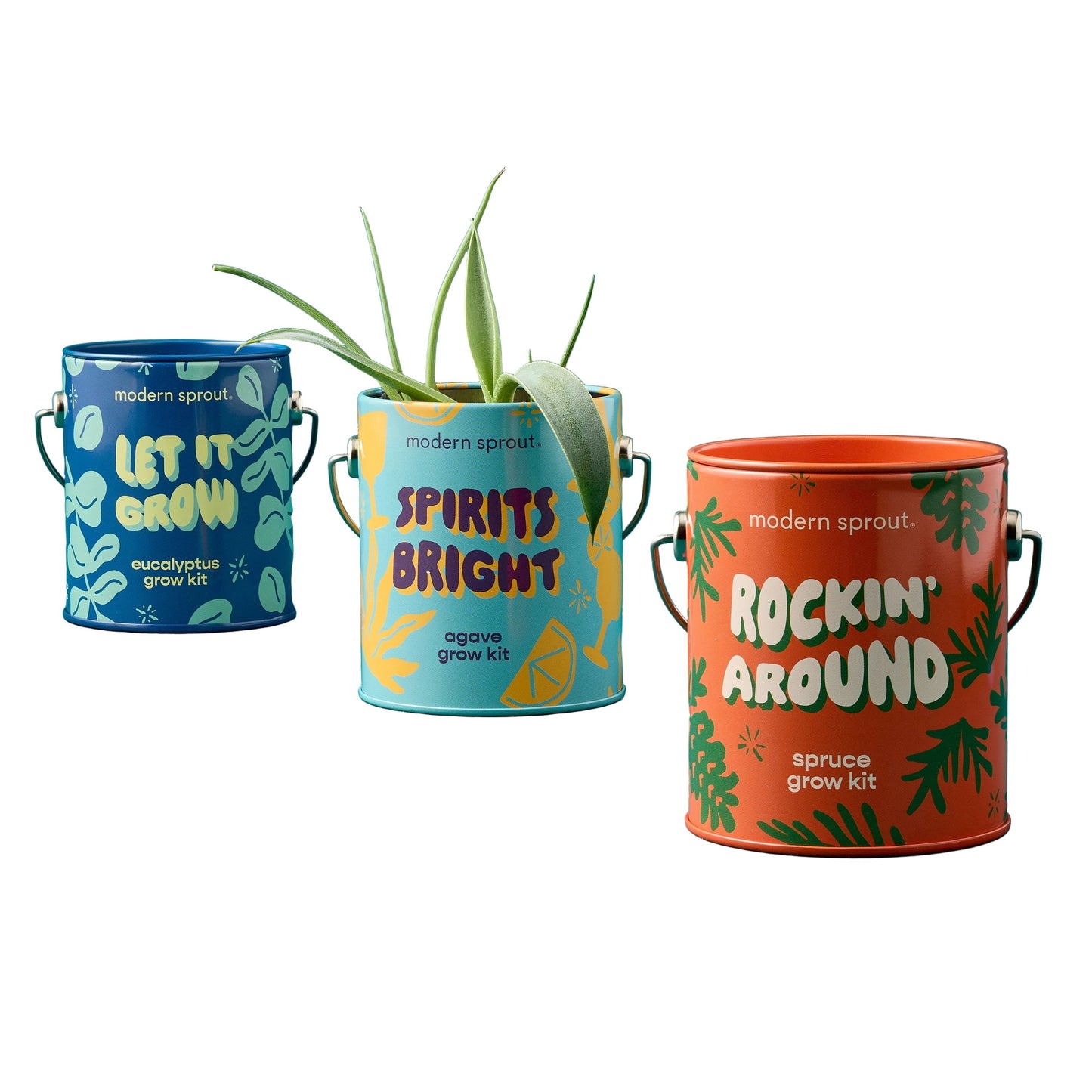 Seasonal Complimentary Colors Grow Kits