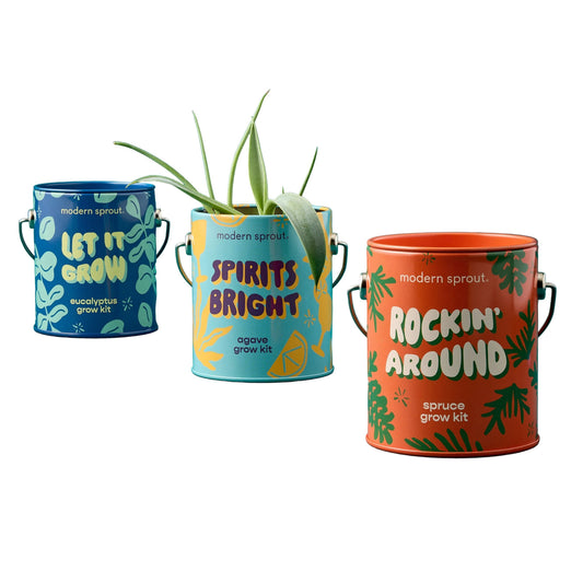 Seasonal Complimentary Colors Grow Kits