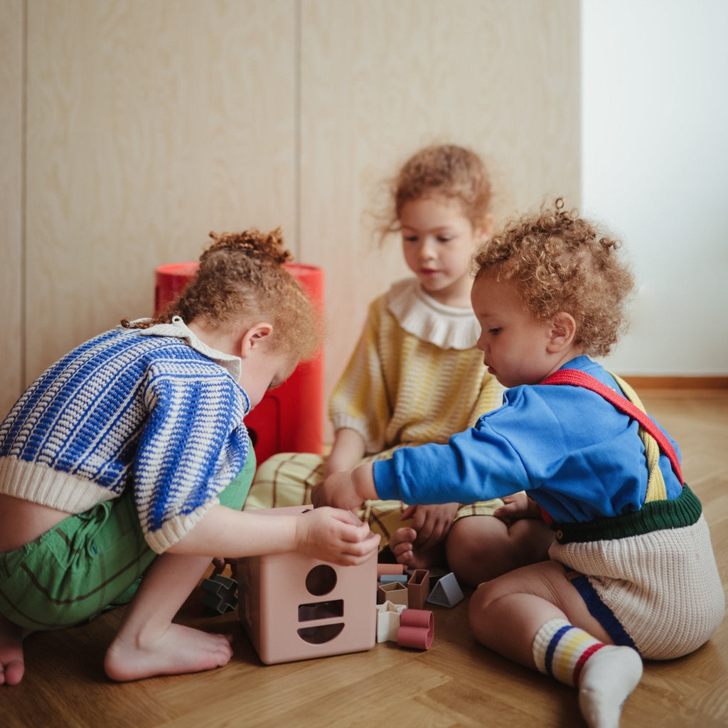 Shape Sorting Box Toy