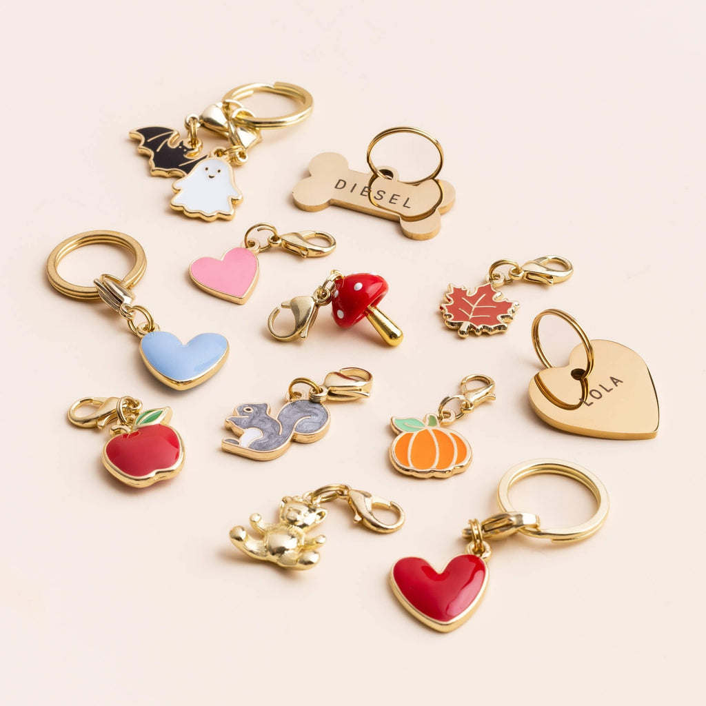 Pumpkin Collar Charm