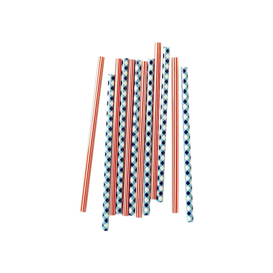 Blue Plaid & Red Striped Reusable Straws