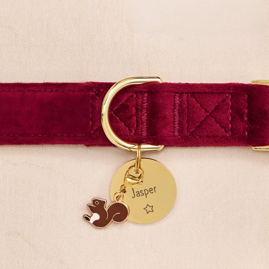 Burgundy Velvet Dog Collar
