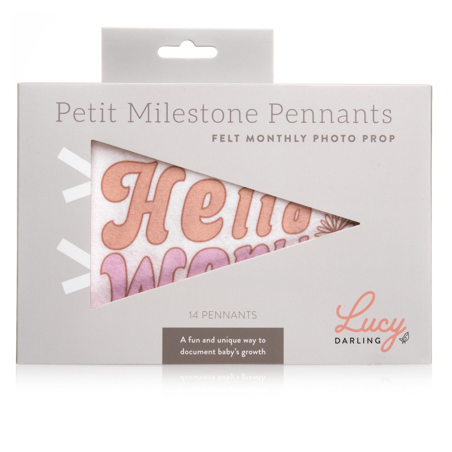 Flower Child Petit Milestone Pennants