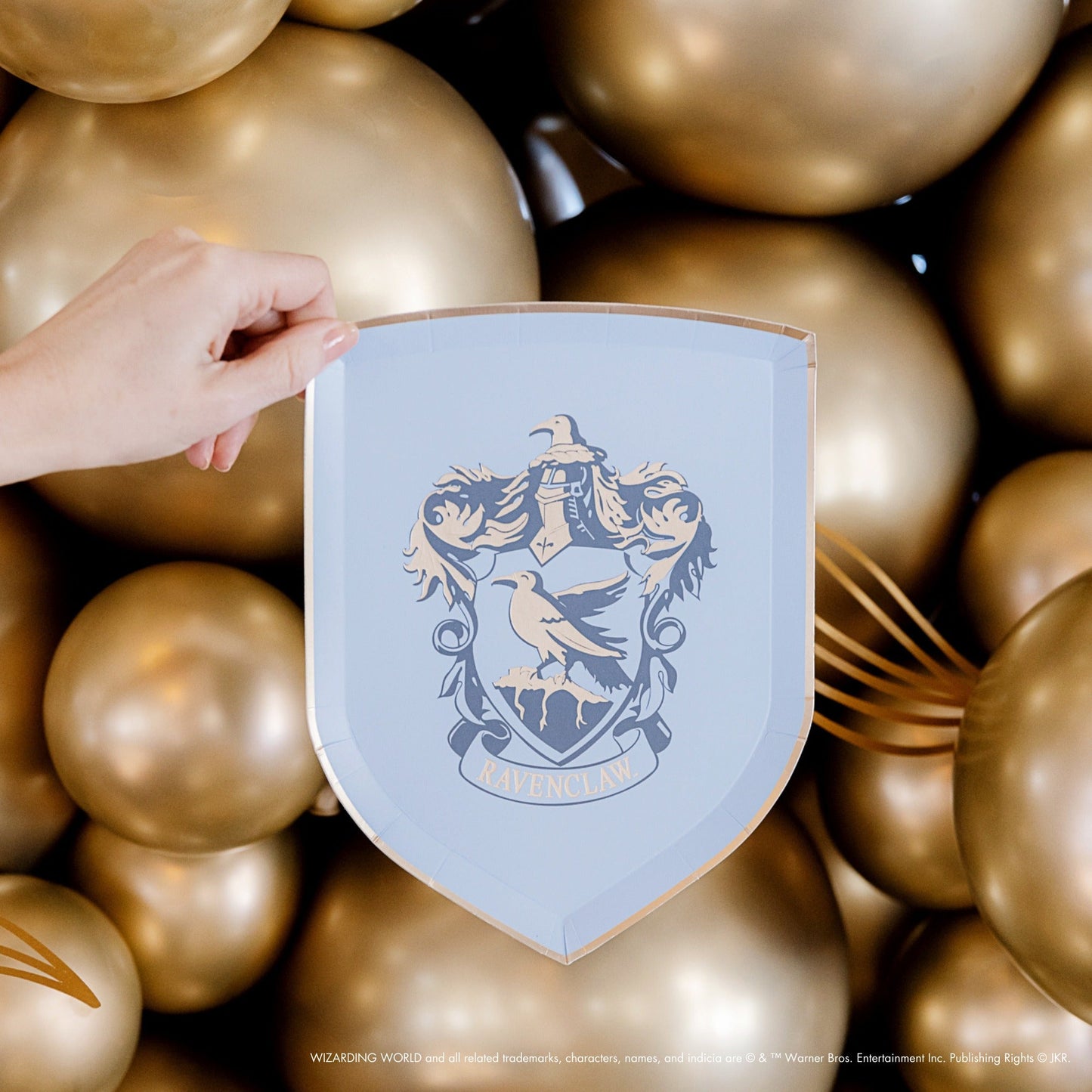 Harry Potter X Bonjour Fete House Pride Small Plates
