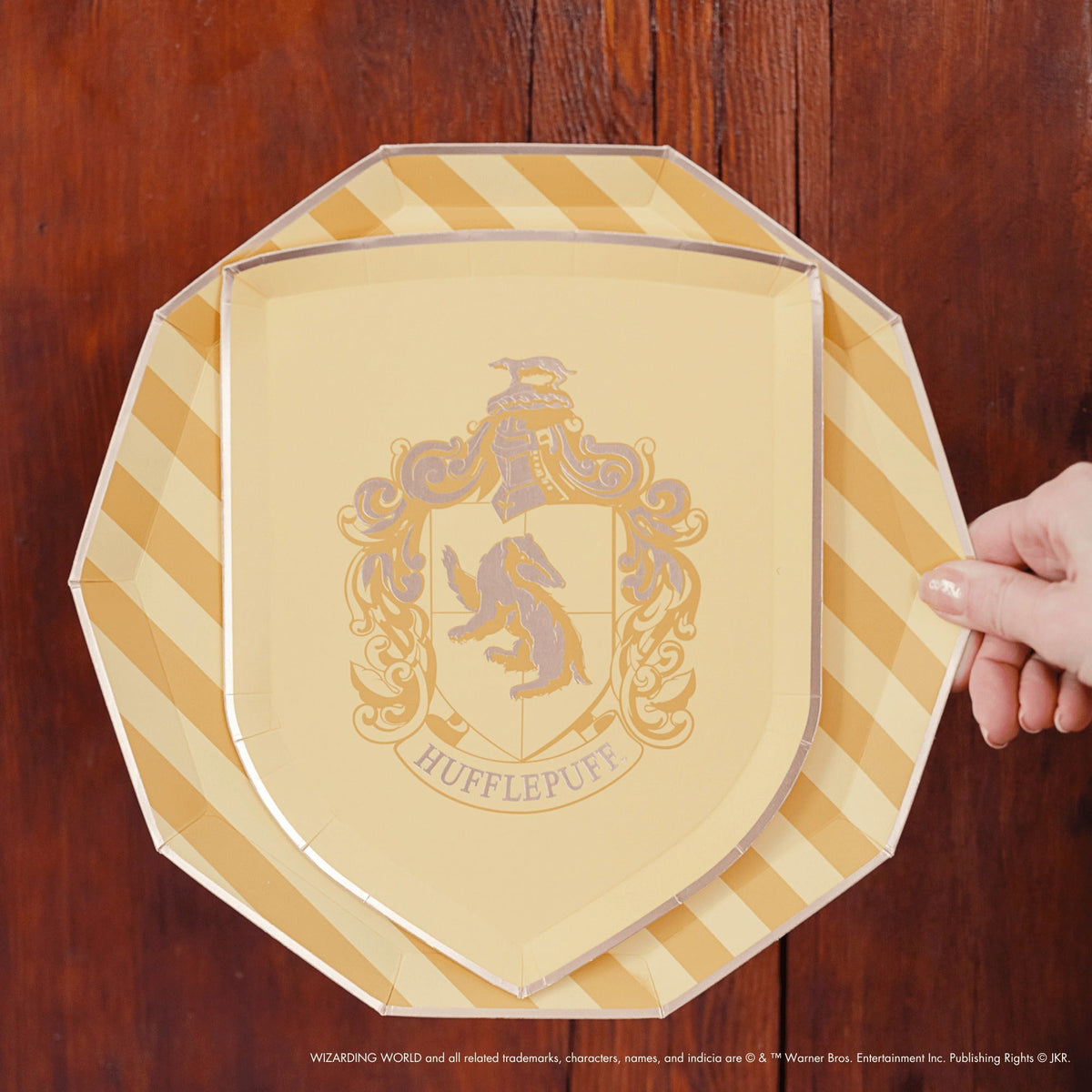 Harry Potter X Bonjour Fete House Pride Small Plates