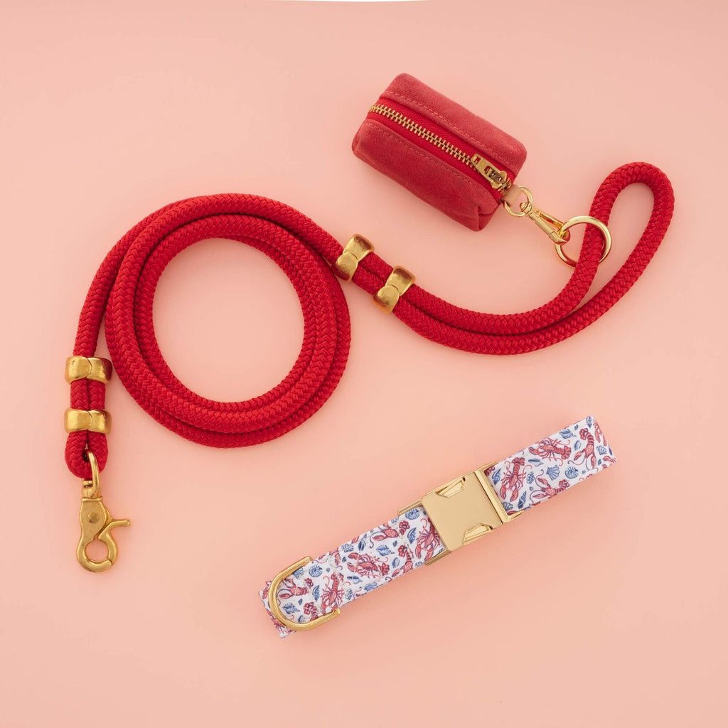 Printfresh x TFD Lobster Landing Collar Walk Set
