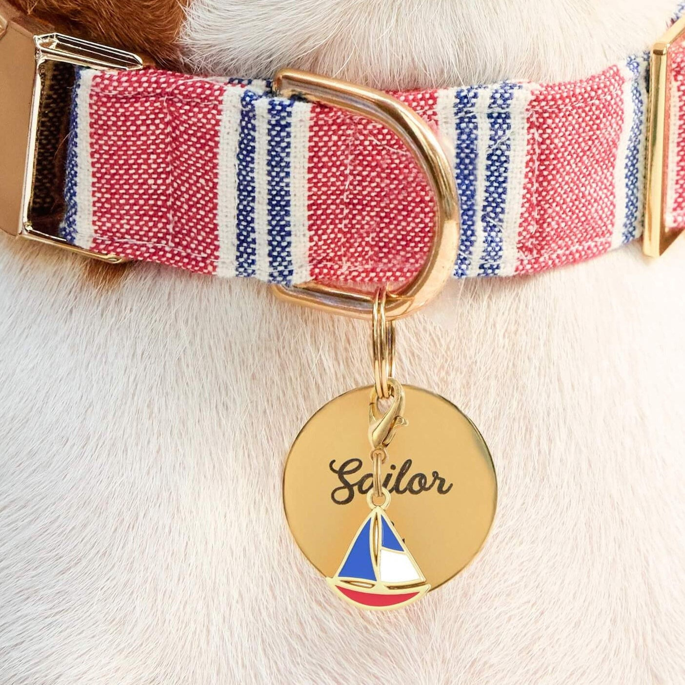 Anchors Away Collar Charm Set
