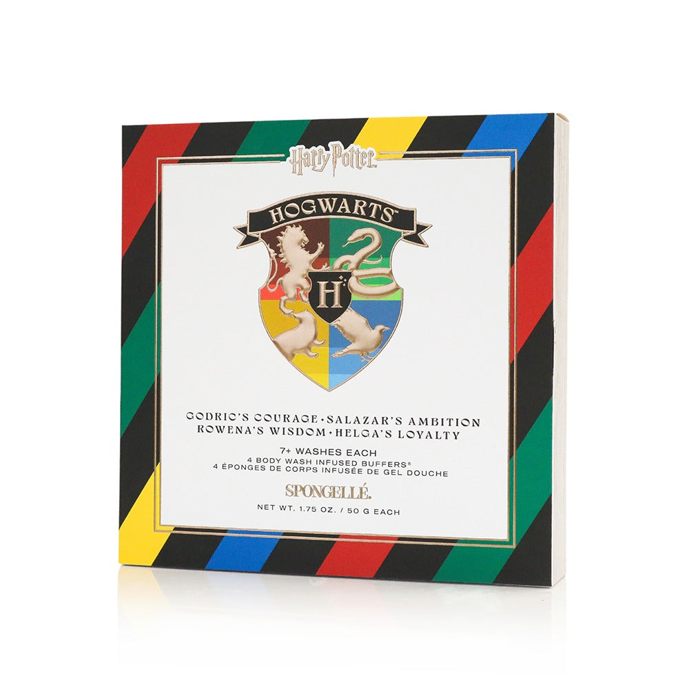 HogwartsTM Gift Set | Harry PotterTM Collection