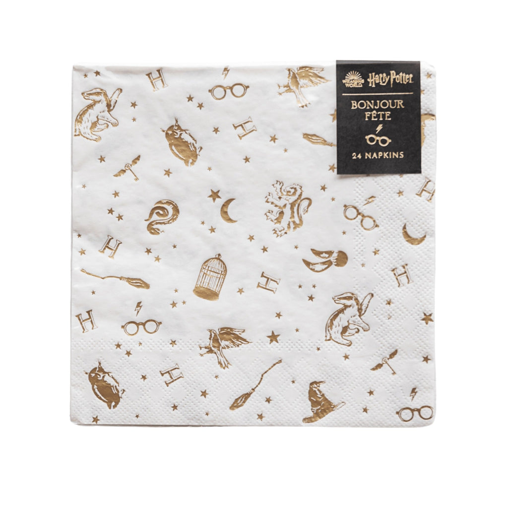 Harry Potter X Bonjour Fete House Pride Large Party Napkins