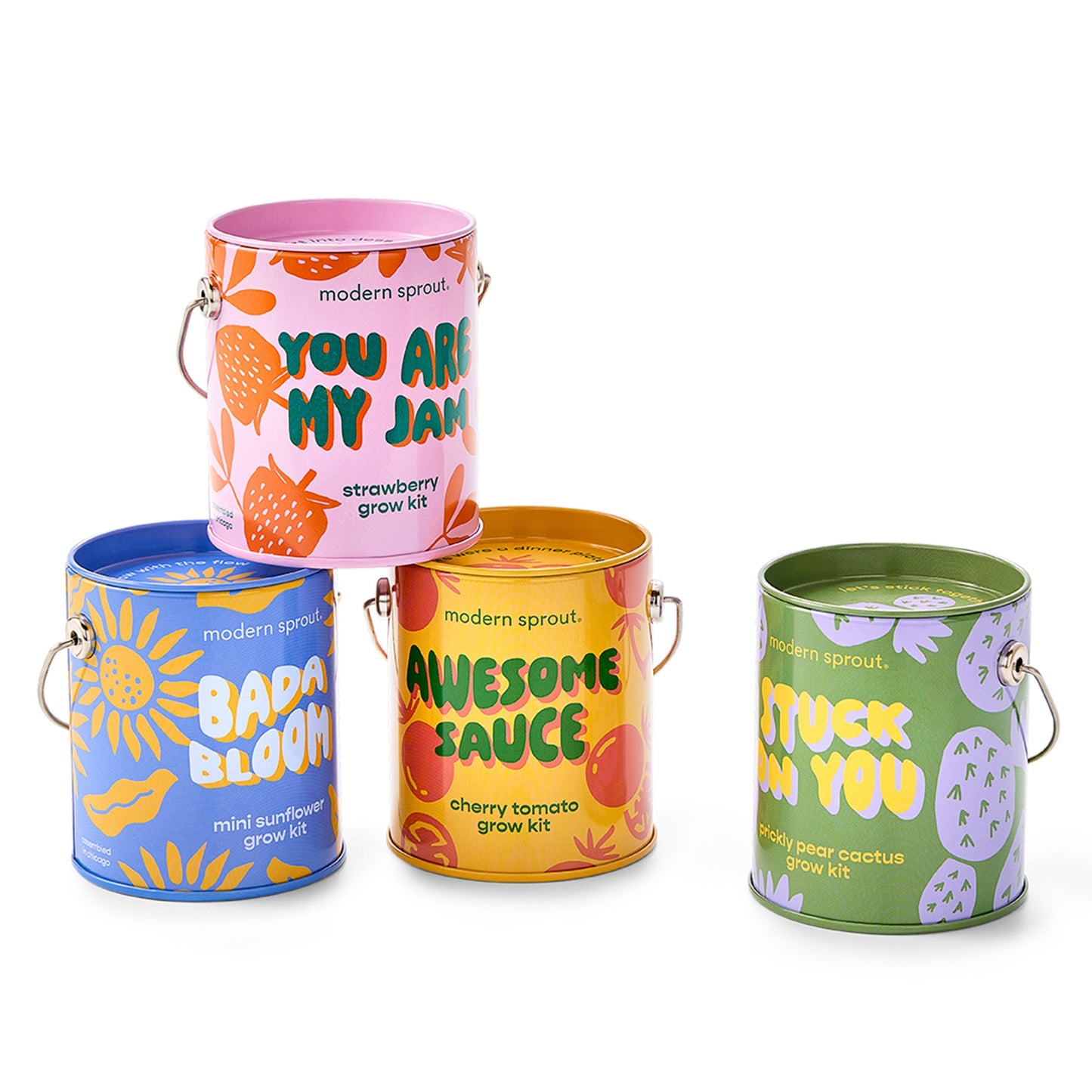 Complimentary Colors Grow Kit
