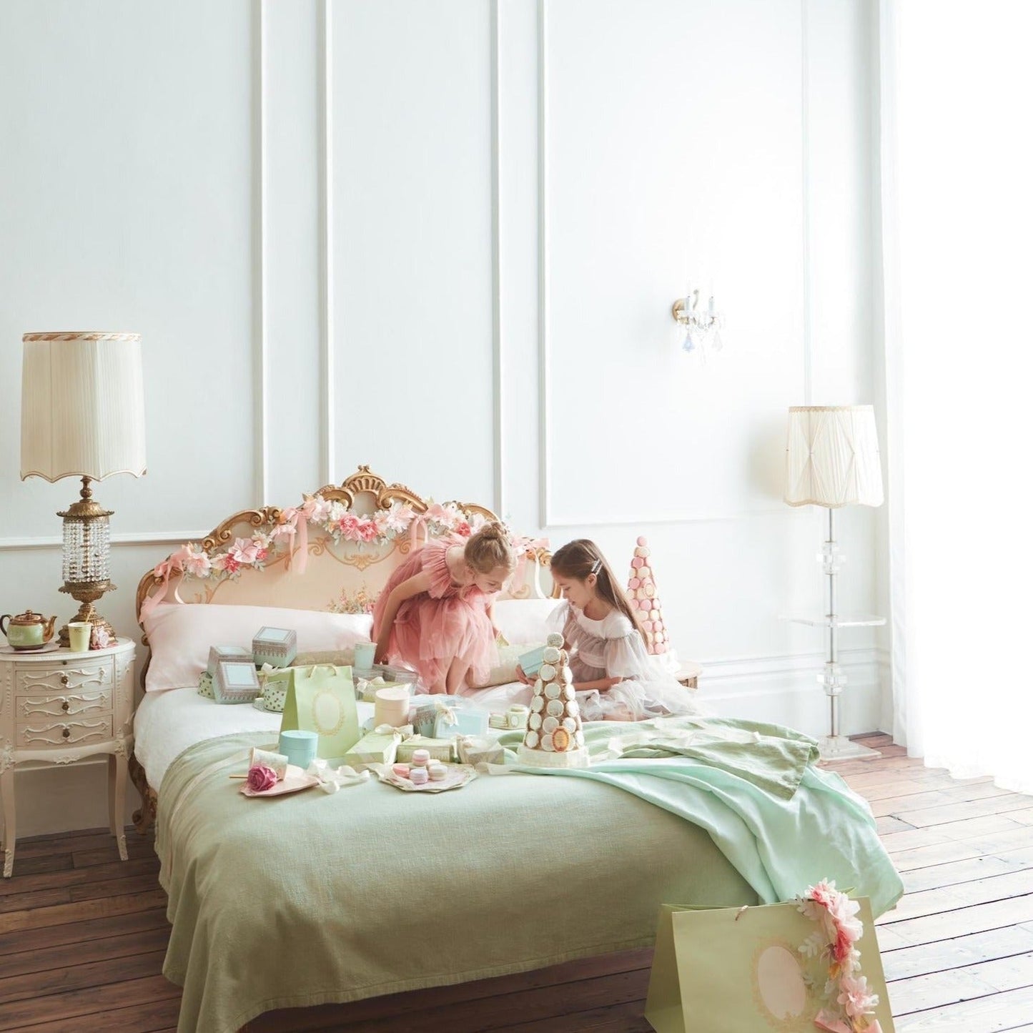 Meri Meri X Laduree Paris French Themed Dinner Plates