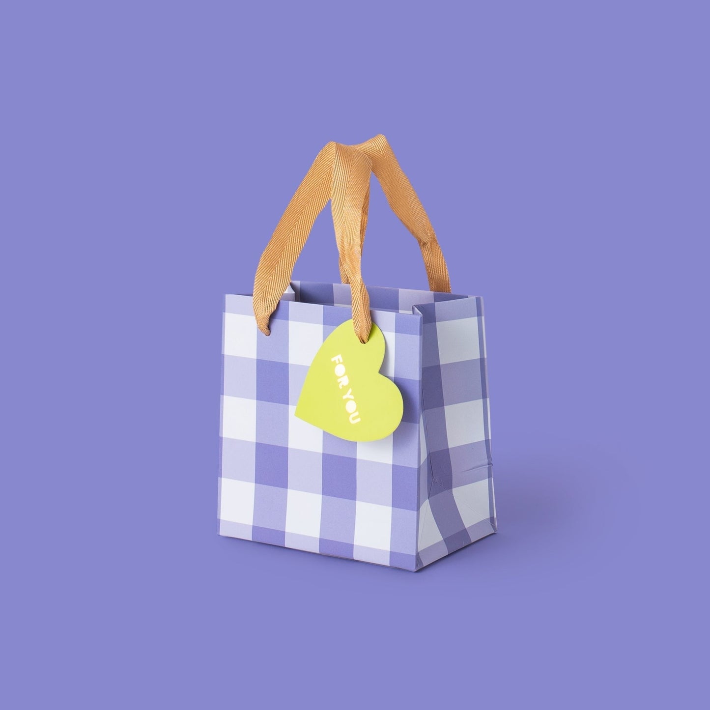 Blue Gingham Gift Bag