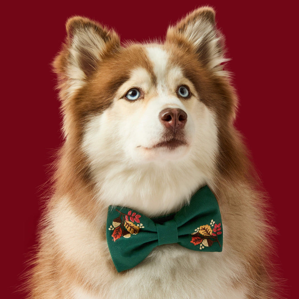 Fall Foliage Embroidered Dog Bow Tie