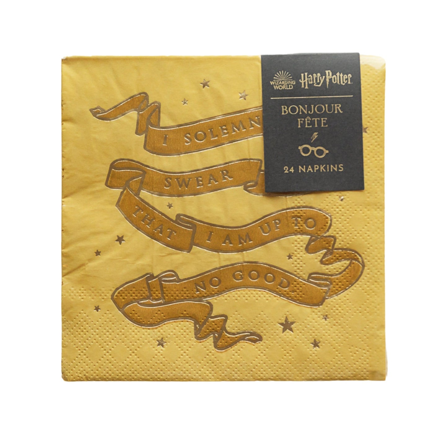 Harry Potter X Bonjour Fete House Pride Small Party Napkins