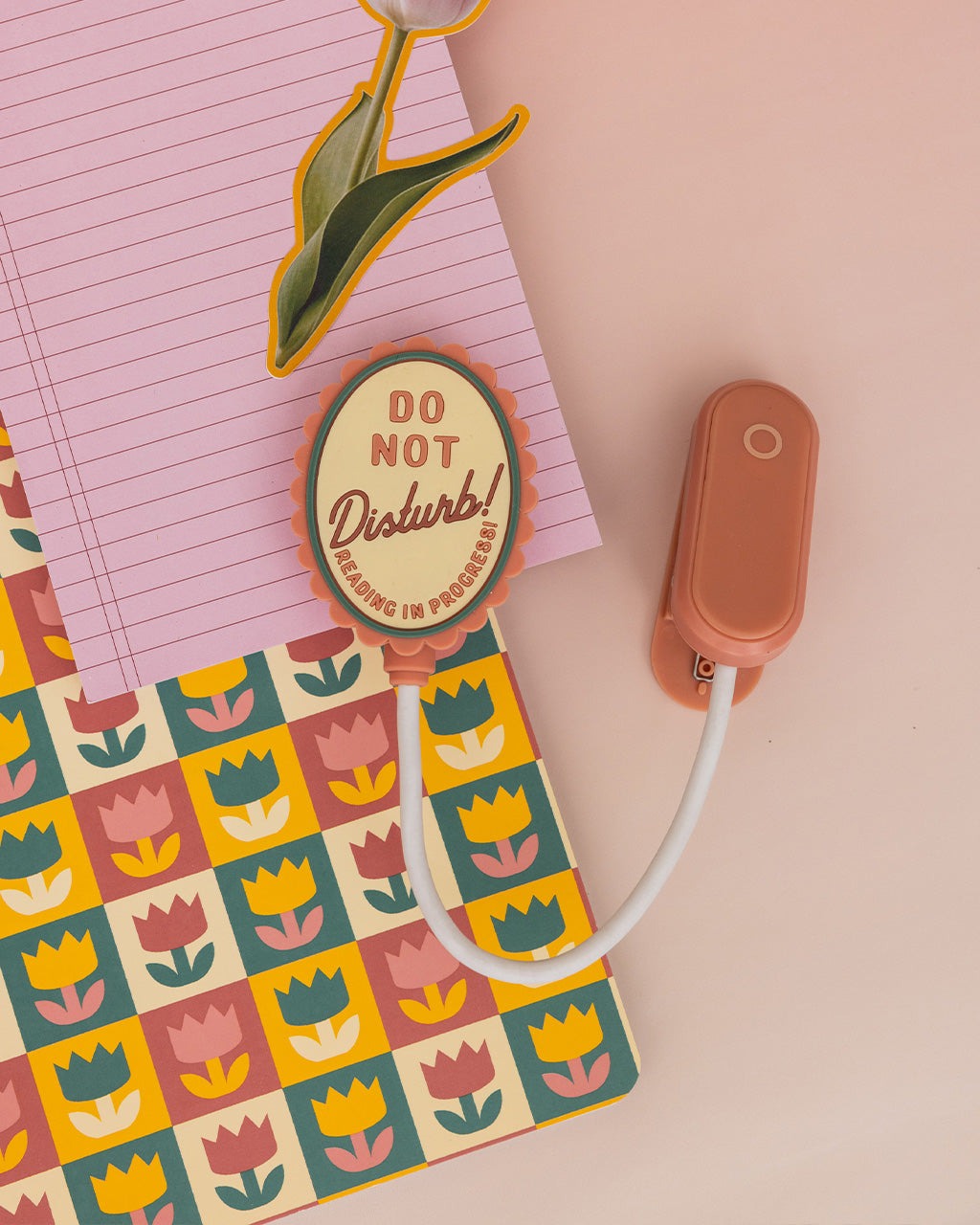 Do Not Disturb Book Light