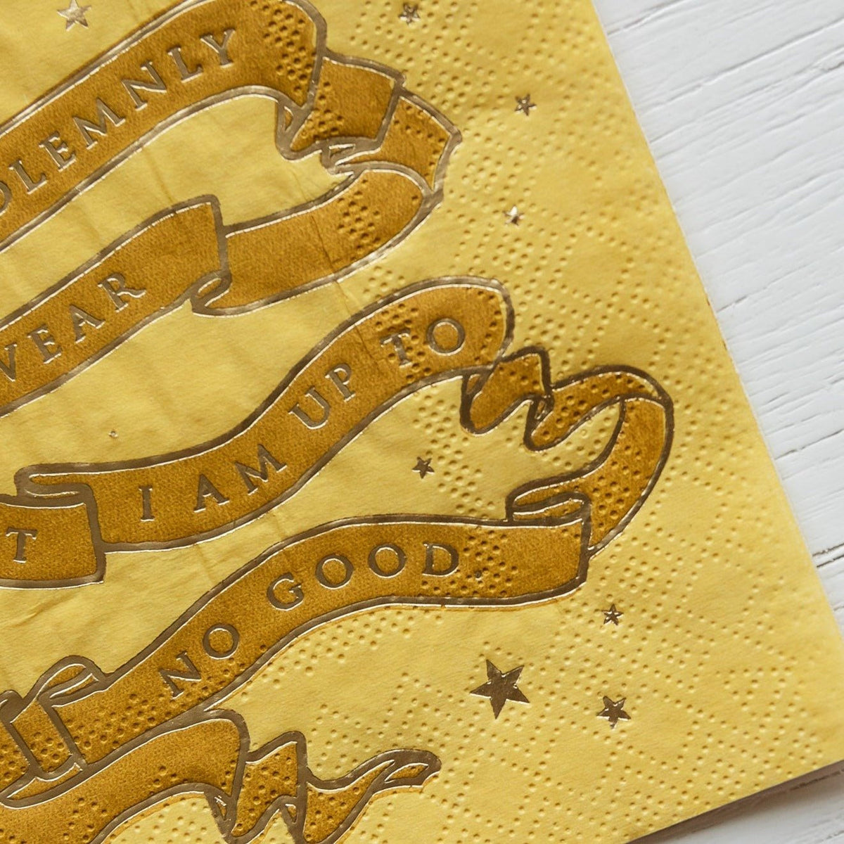 Harry Potter X Bonjour Fete House Pride Small Party Napkins