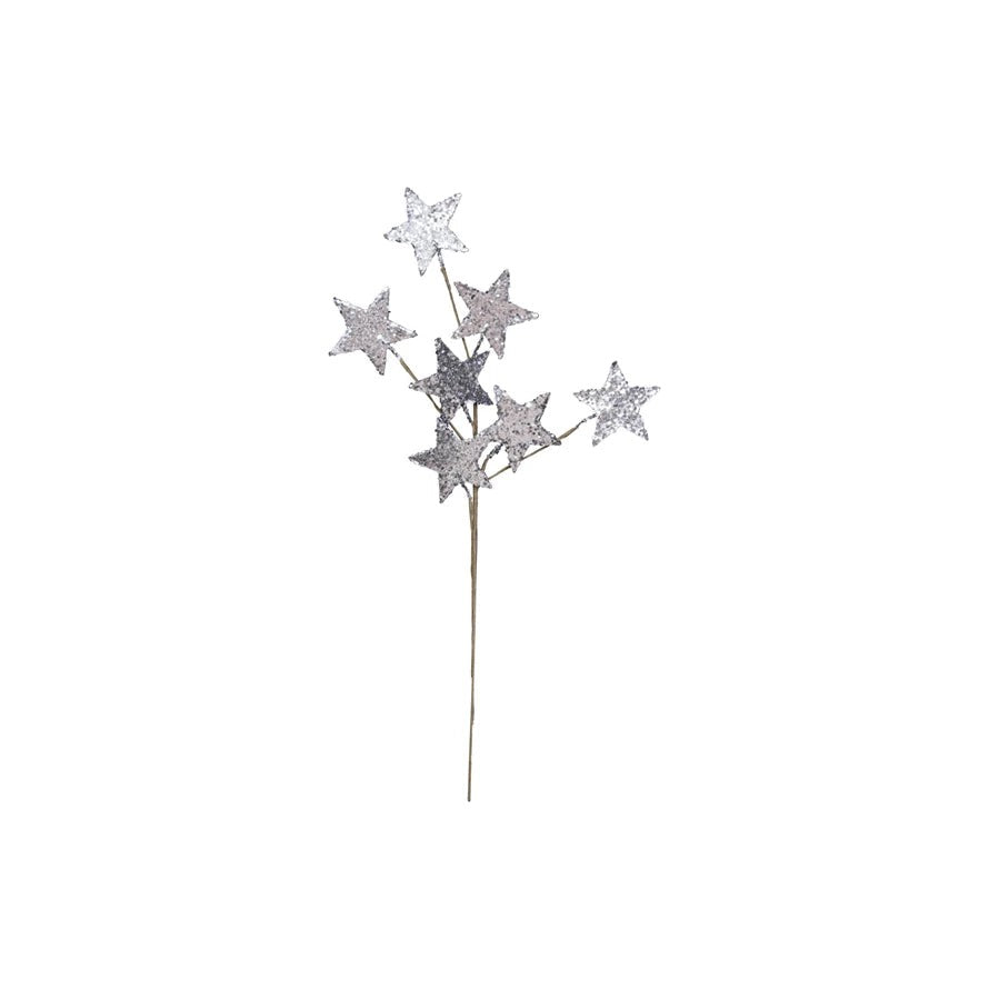 Glitter Star Spray