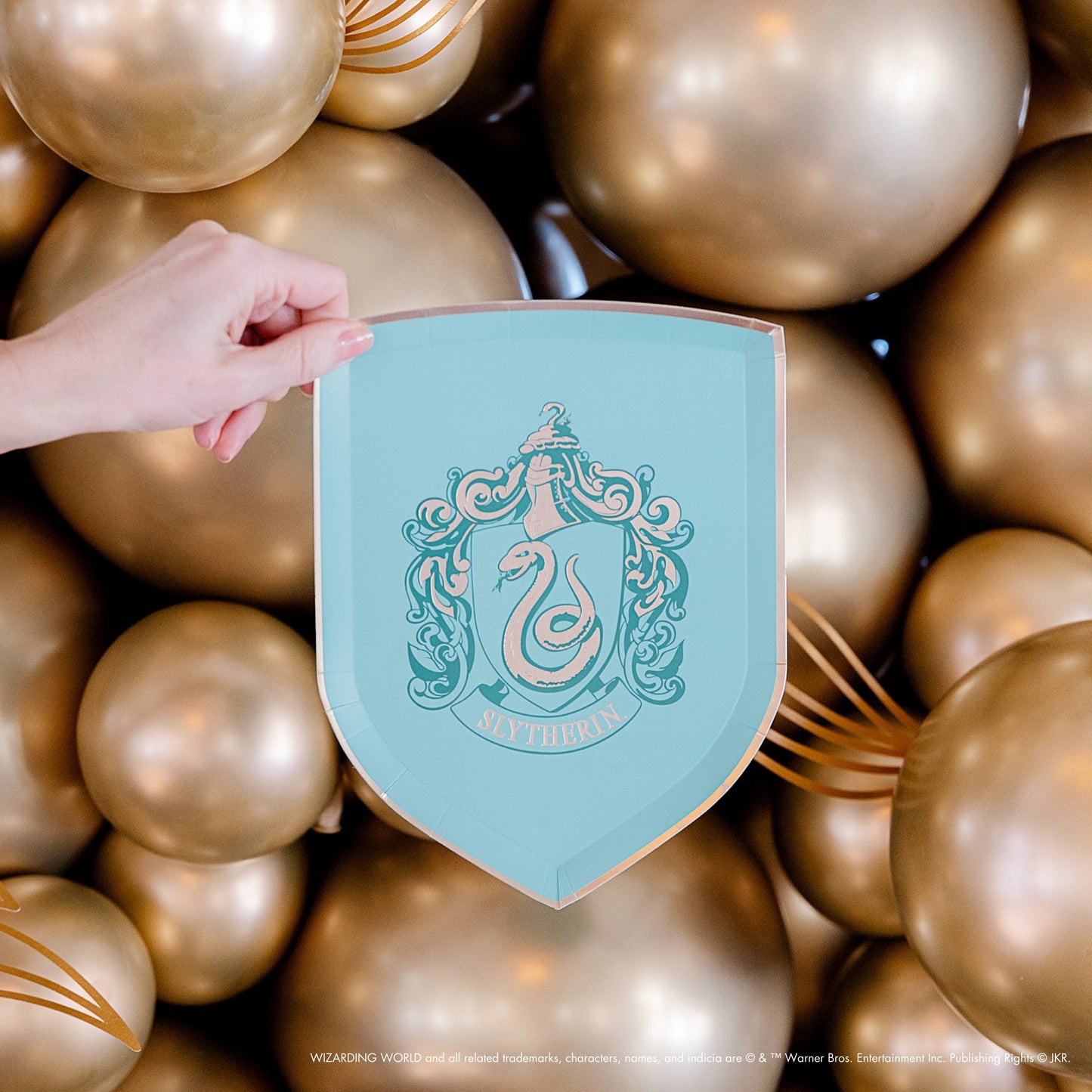 Harry Potter X Bonjour Fete House Pride Small Plates