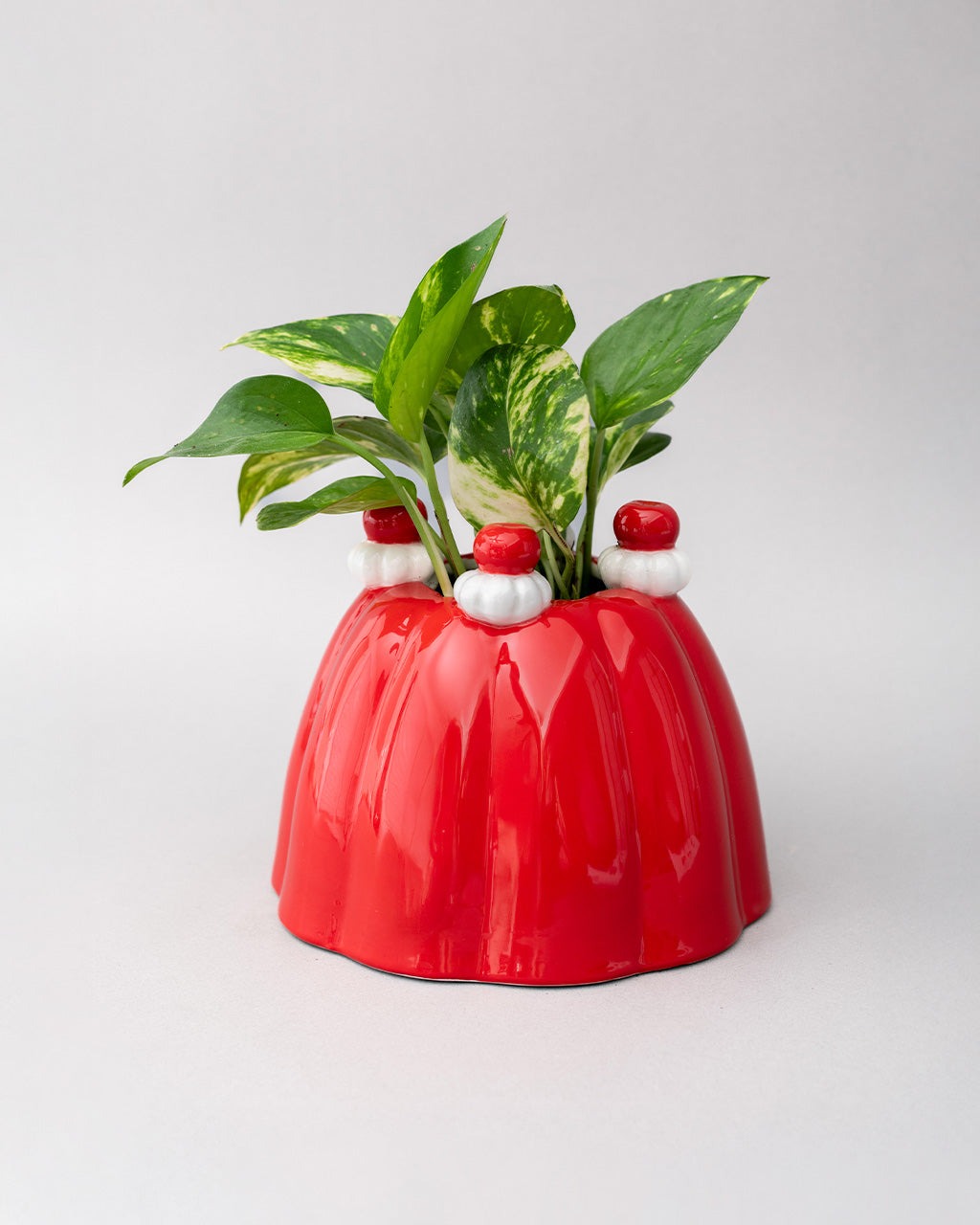Jelly Dessert Vase