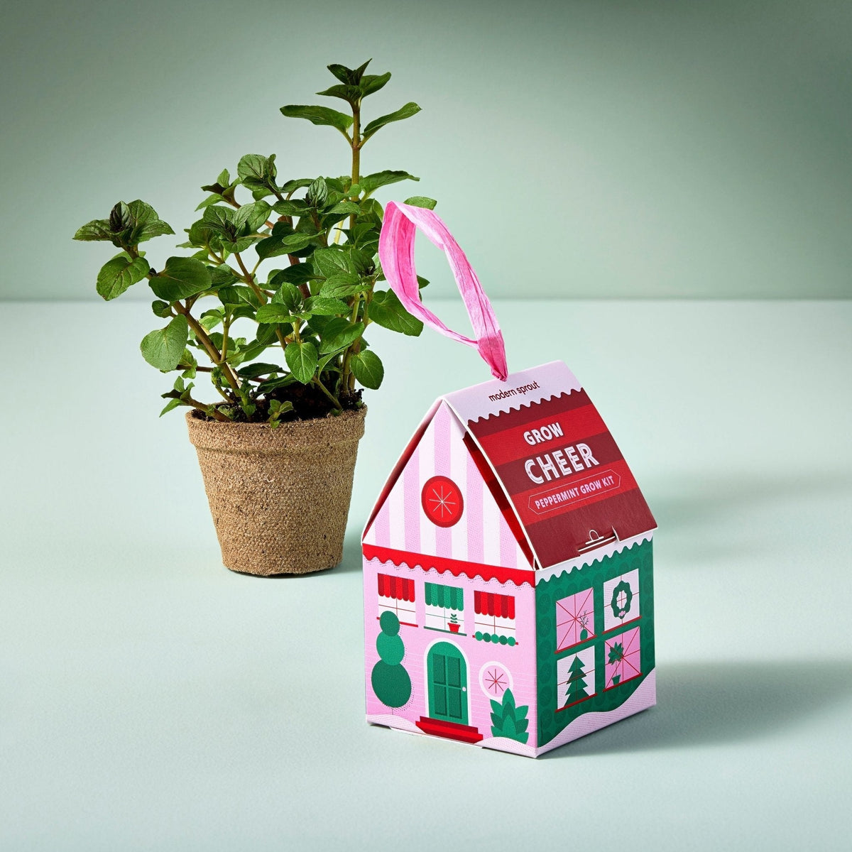 Herb Grow Kit Ornament