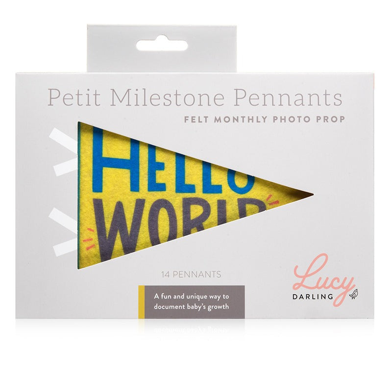 Little Kaleidoscope Petit Milestone Pennants