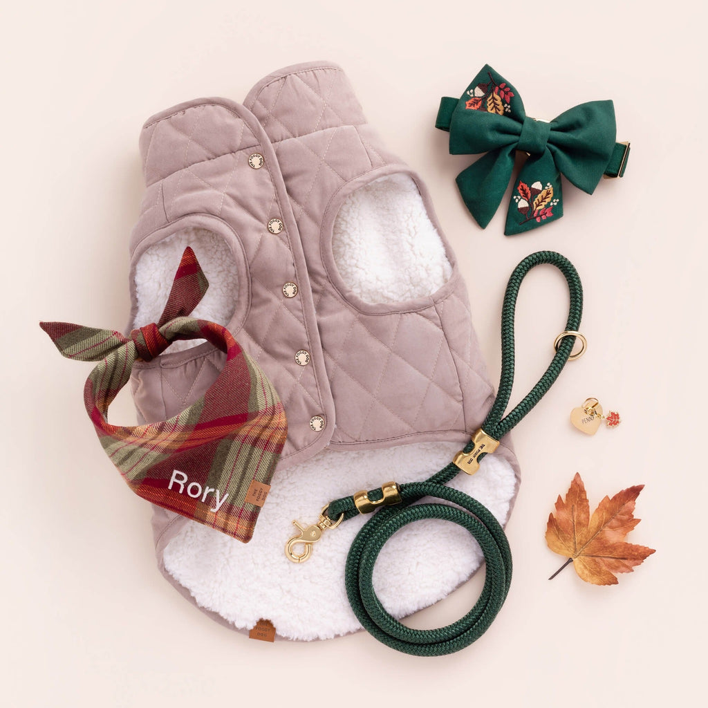Fall Foliage Embroidered Lady Bow Collar