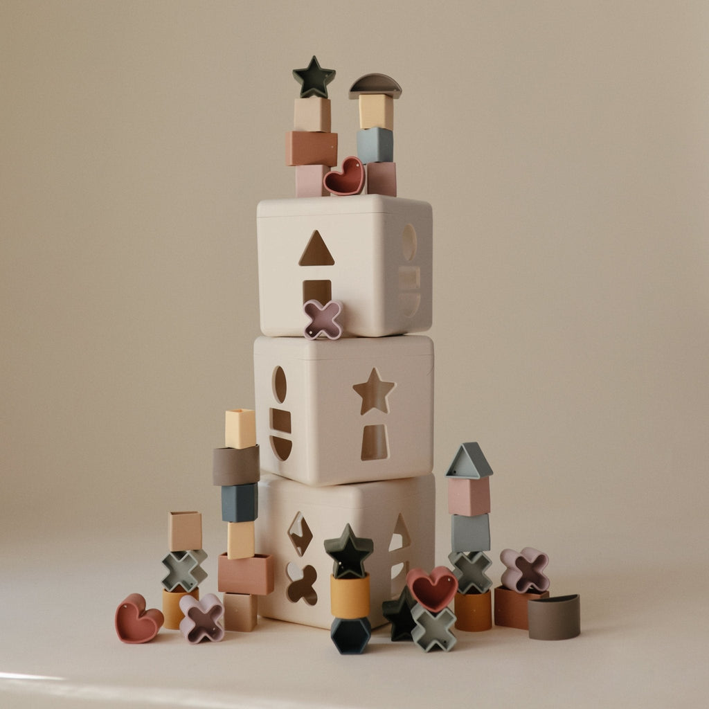 Shape Sorting Box Toy