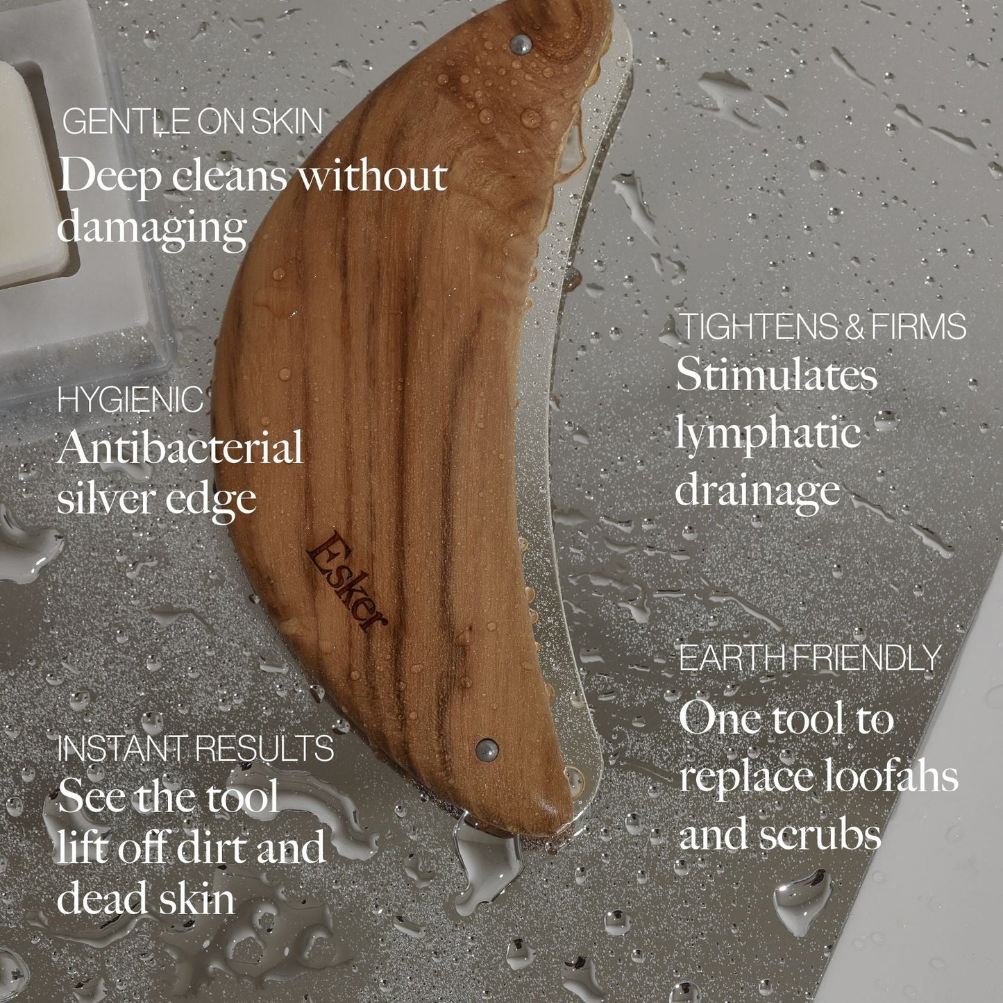 Body Plane