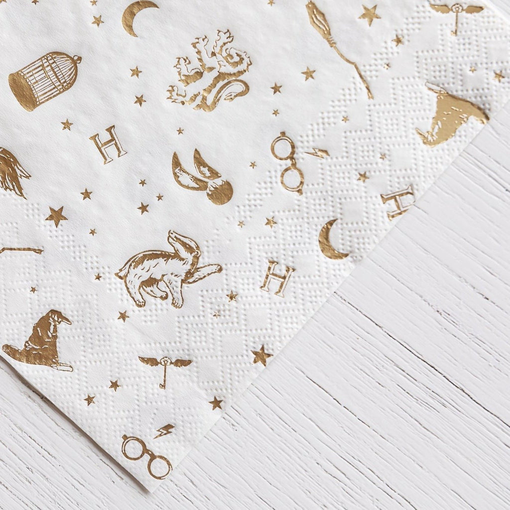 Harry Potter X Bonjour Fete House Pride Large Party Napkins