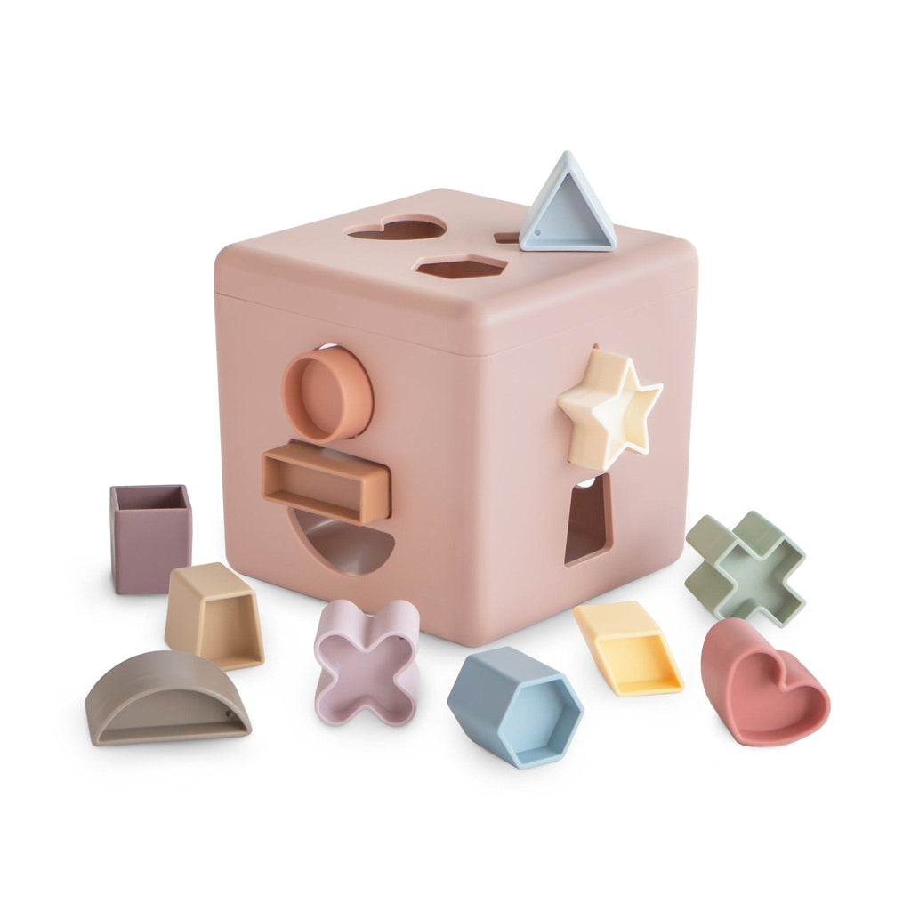 Shape Sorting Box Toy