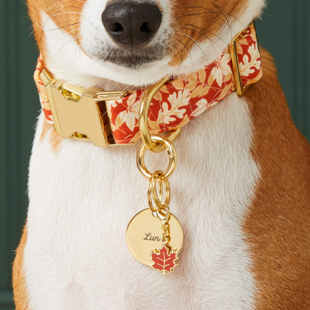 Maple Leaf Collar Charm