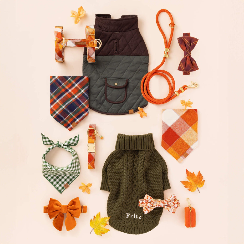 Pumpkin Collar Charm