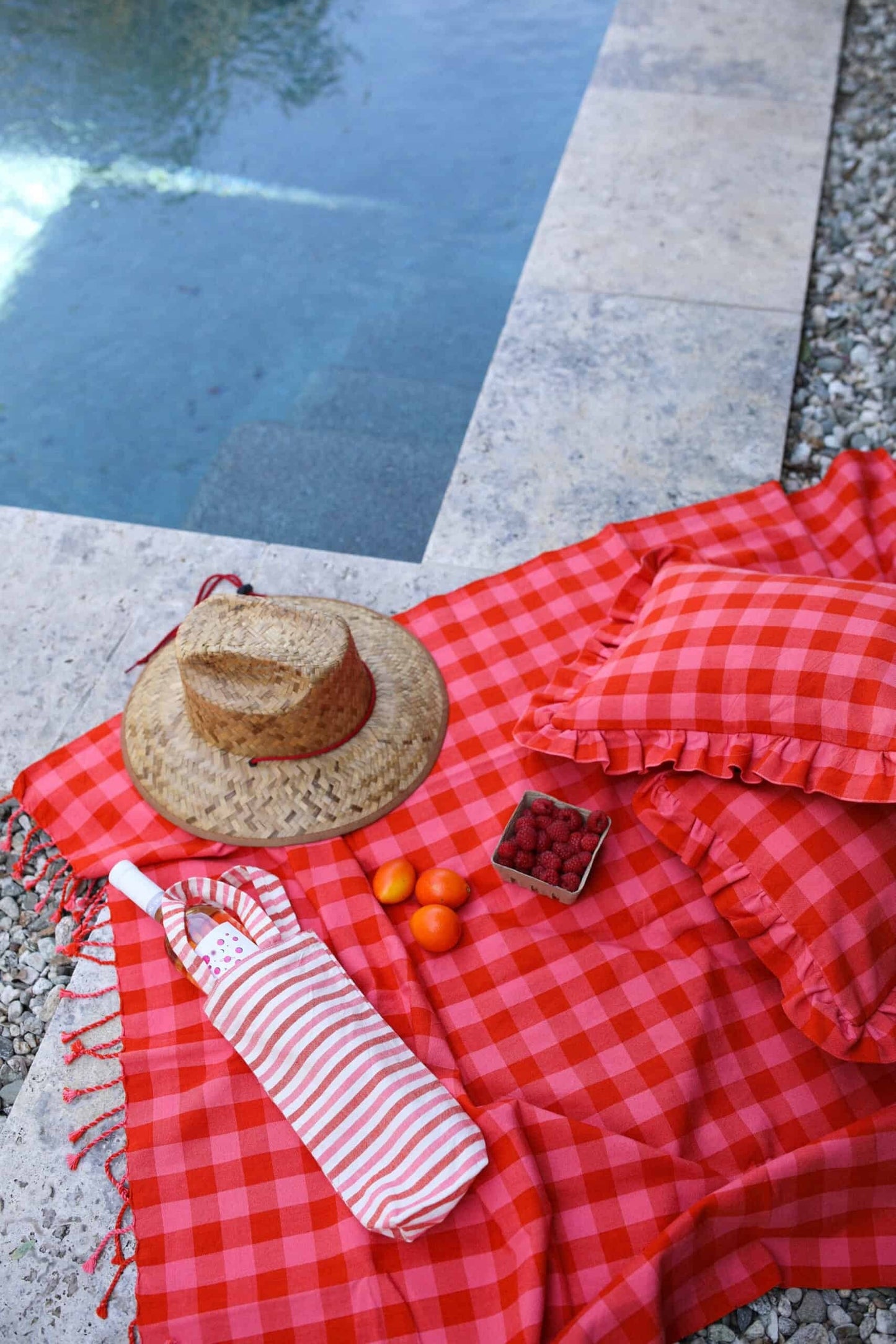 Gingham Guava Petite Pillow