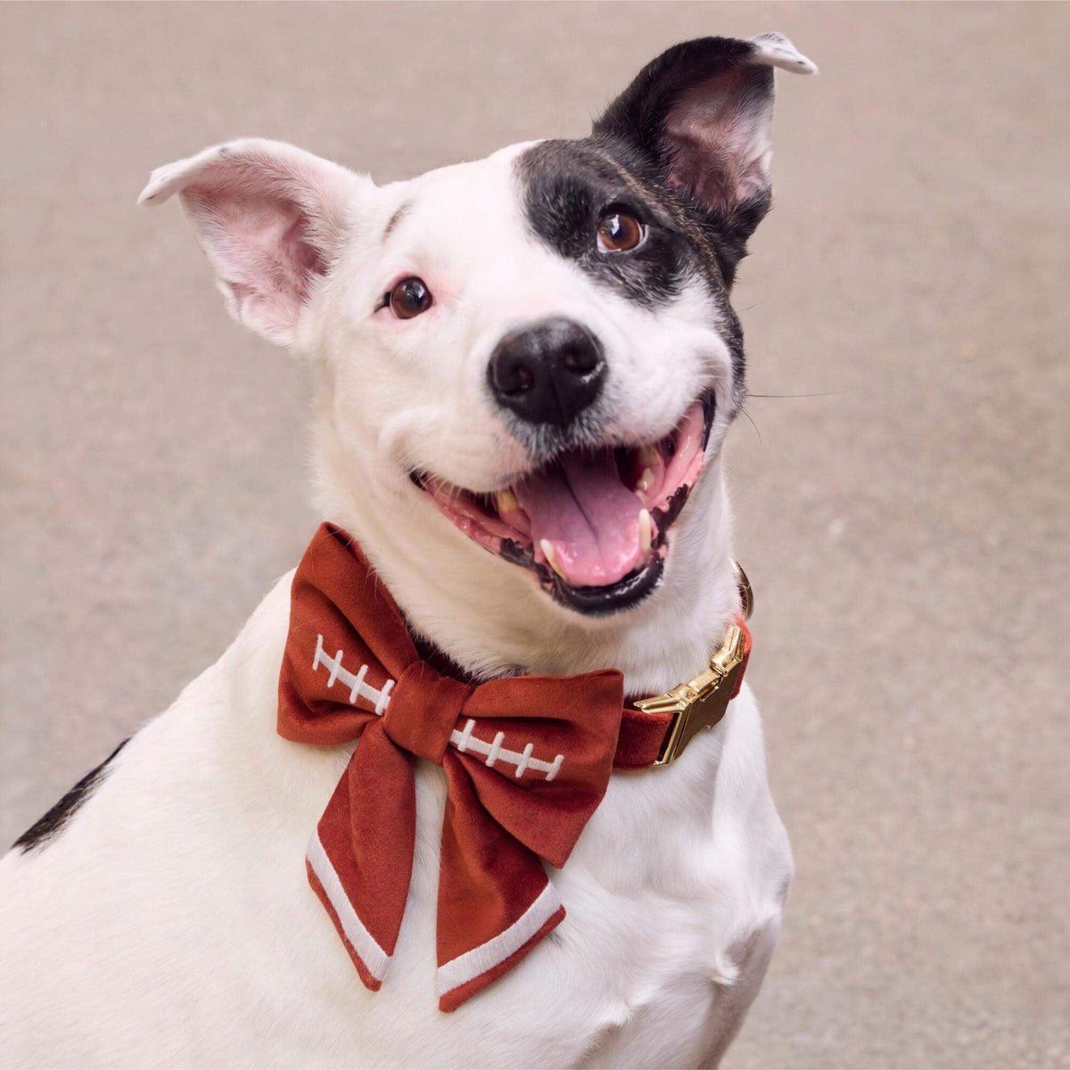 Football Embroidered Lady Dog Bow