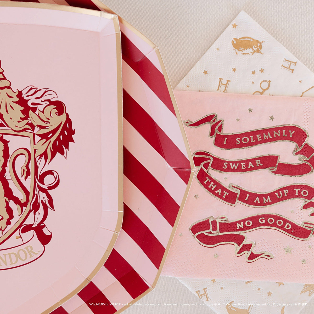 Harry Potter X Bonjour Fete House Pride Small Party Napkins