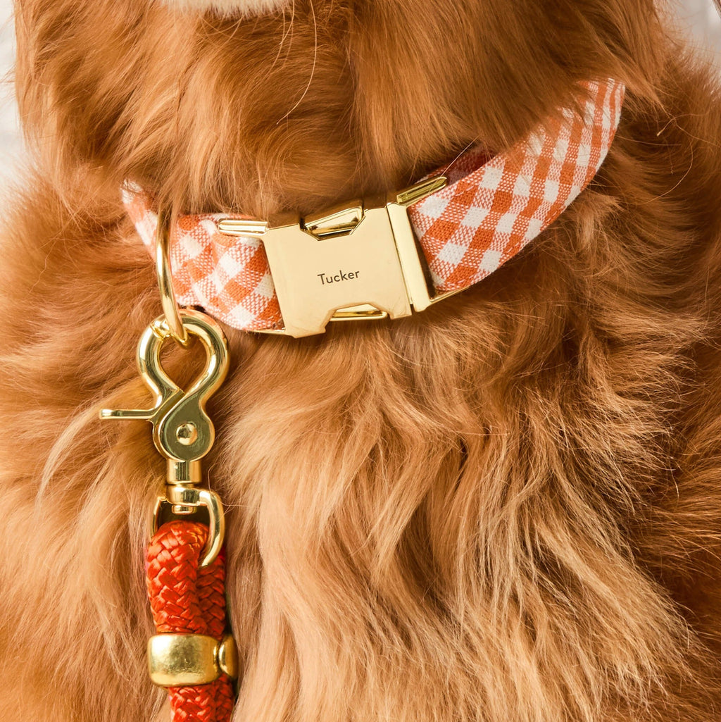 Cider Gingham Dog Collar