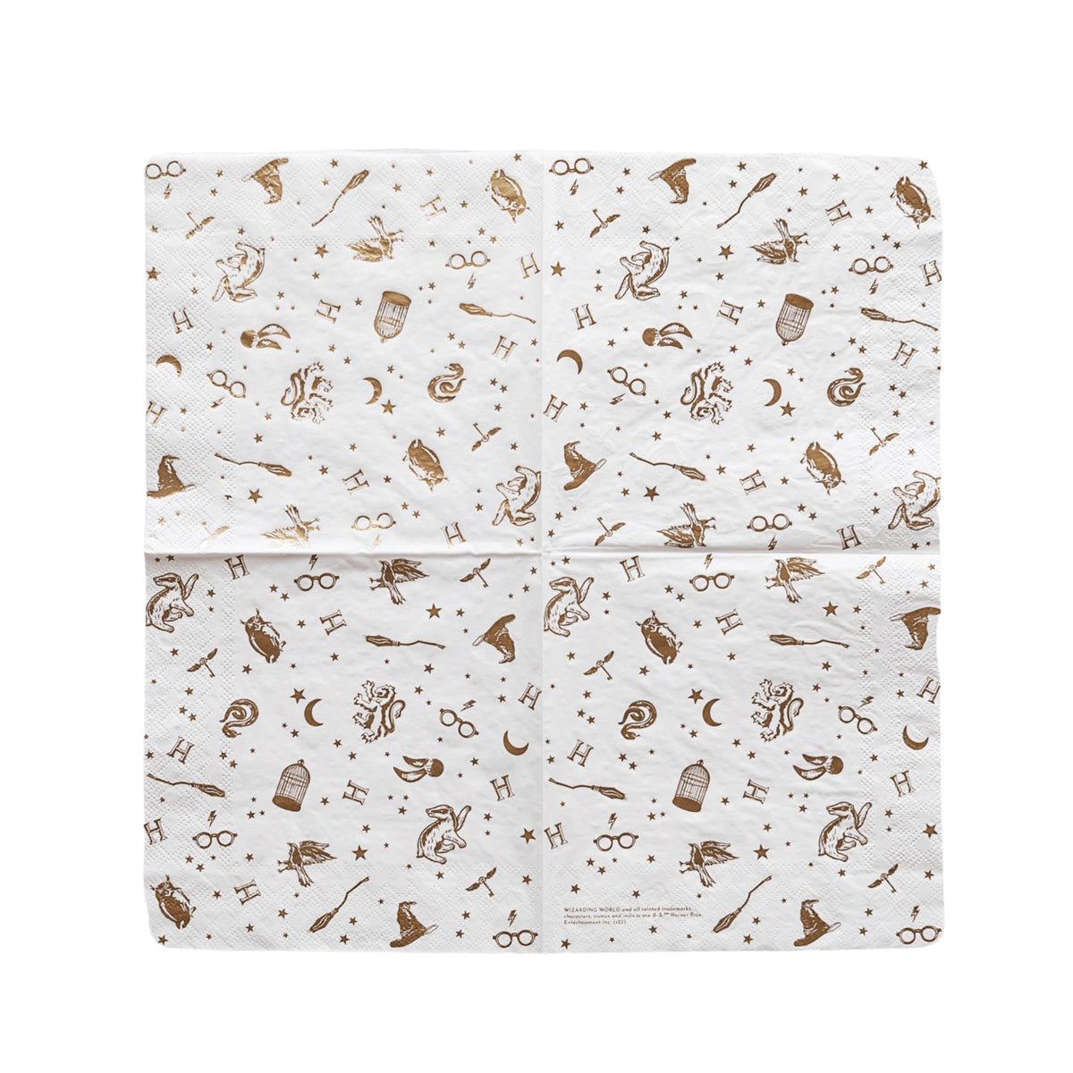 Harry Potter X Bonjour Fete House Pride Large Party Napkins