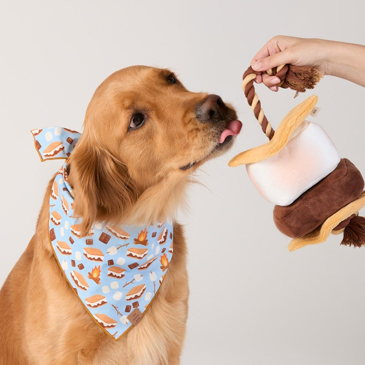S’more Interactive Snuffle Dog Toy